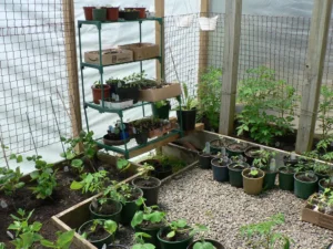 Invernadero Casero 9 invernadero casero