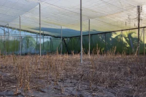 Malla para Invernadero 8 malla para invernadero