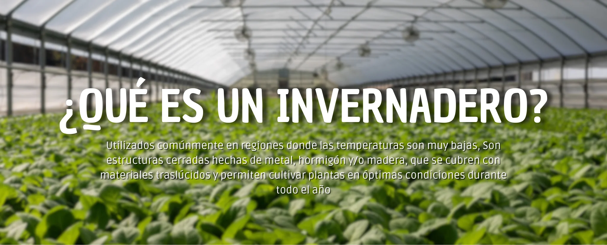 Invernaderos: Todo lo que Necesitas Saber para mejorar tu cosecha. 1 ¿QUÉ ES UN INVERNADERO