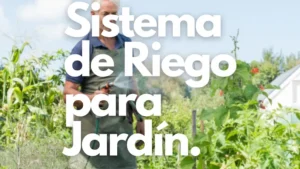 Sistema de Riego para Jardín: Optimizando el Cuidado de tu Espacio Verde 3 sistema de riego para jardin destacada