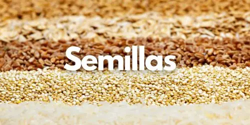 Las Semillas: El origen de las Plantas y Árboles. 1 semillas 500x250 1